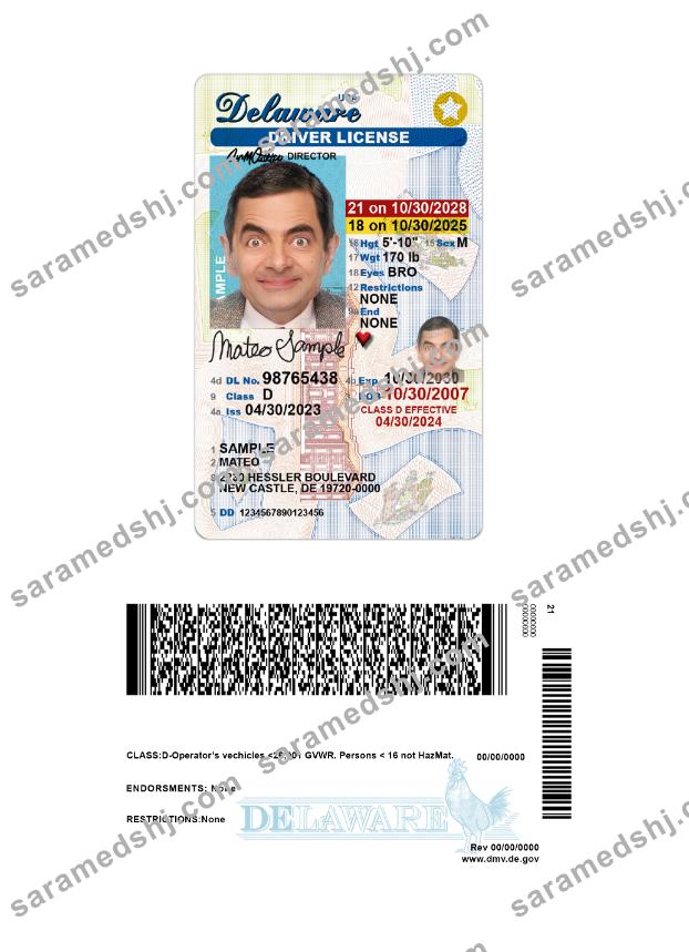 USA Delaware under 21 driving license